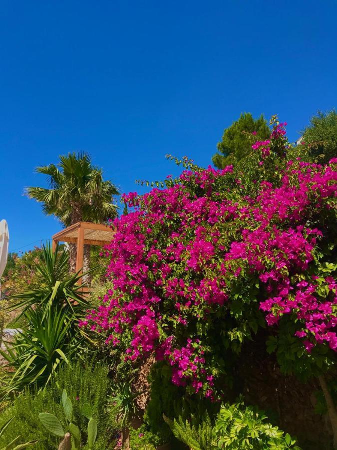 Luxus Tholos Bay Eksteriør billede